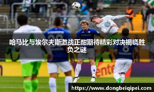 哈马比与埃尔夫斯激战正酣期待精彩对决揭晓胜负之谜