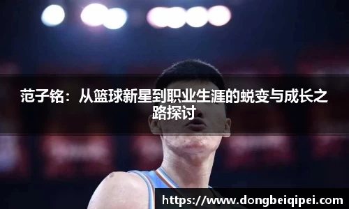 米兰体育官网